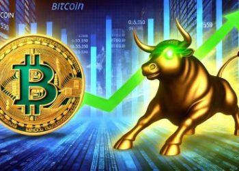 Bitcoin Bull Market Not Over: CryptoQuant CEO Reveals Where We Are This Cycle