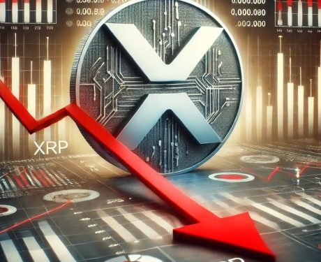 XRP Transactions Fall, But Active Wallets And DeFi Liquidity Tell A Different Story