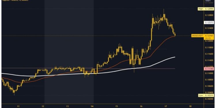 Dogecoin and Shiba Inu: Dogecoin in retreat since last night