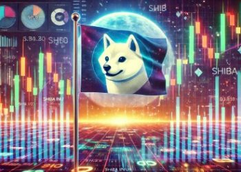 Shiba Inu Price Flashes Historical Bull Flag, Here’s What Happened Last Time