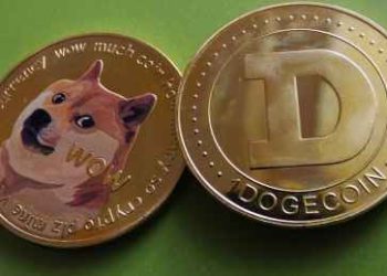 Dogecoin Revival: Active Addresses Skyrocket To Highest Level In 8 Months