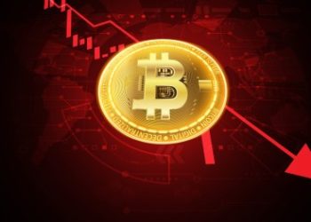 Is Crypto Losing Steam? Bitcoin And Ethereum Addresses Shrink In 2024