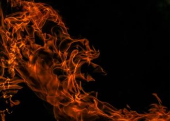 Shiba Inu Burn Rate Shoots Up 1,000% – Are New ATH Levels Just Around The Corner?