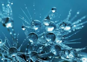 Lido (LDO) Faces Massive Correction As Token Losses Mount To 20%