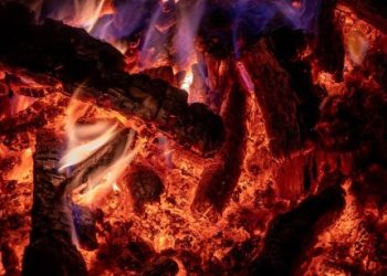 Tron Token Burn: 10 Million Gone—What Does It Mean For TRX Price?