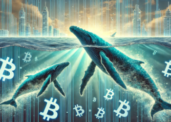 Bitcoin Whales Are Going Through A ‘Generational’ Shift, CryptoQuant CEO Reveals