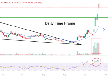 Top Stock Gainers and Losers: Oklo Up 22%, Neumora Falls 15%