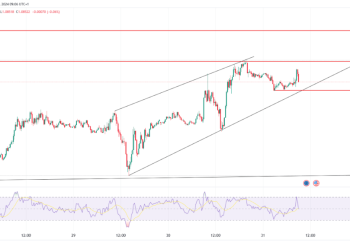 EUR/USD & EUR/GBP Analysis: High Volatility with Trends
