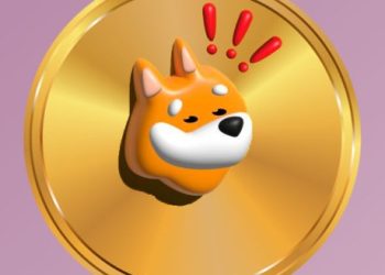 Is BONK Rally In Jeopardy? Technical Indicators Confirm Weakness