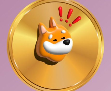 Is BONK Rally In Jeopardy? Technical Indicators Confirm Weakness