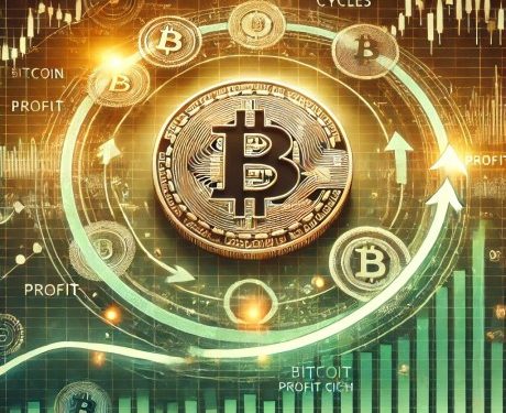 Tracking Bitcoin’s Profit Cycles: Could A New Market High Be Near?