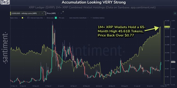 Why Is XRP Price Up Today? Key Reasons Explained