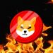 Shiba Inu Burn Rate Ignites 3,674% On Election Day, Will SHIB Move With Dogecoin Price To New ATH?