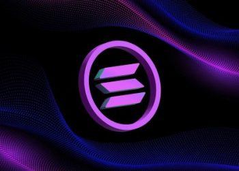 Solana User Base Skyrockets To Over 123 Million, Riding The Memecoin Wave