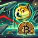 Dogecoin Price Down 7%, But Whales Continue To Buy