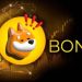 BONK Finds Stability At $0.00004002, Can Bulls Spark A Comeback?