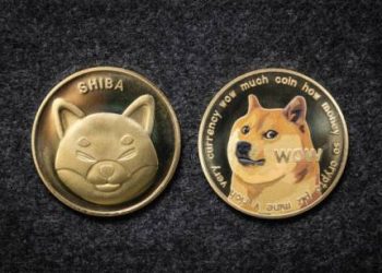 Shiba Inu Falls Below $0.00002631 As Bears Dominate The Market, Time To Buy?