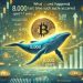 Bitcoin Whale Moves 8,000 BTC Aged 5-7 Years – What Happened Last Time