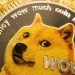 No Sweat! Dogecoin Will Hit $5 ‘Very Easy’ In 2025 – Analyst