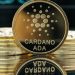 Dogecoin Days At The Top Numbered? Cardano Set To Take Over — Analyst