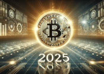 2025 Bitcoin Predictions: Top Fund Manager Shares His Outlook