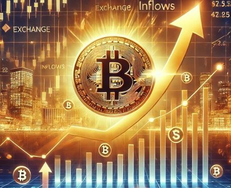 Rising Bitcoin Prices Defy Exchange Inflows: What Investors Need to Know