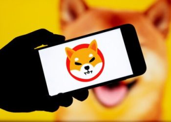 Shiba Inu Grapples With Heavy Bearish Forces: Will Support Levels Hold?