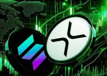 Big Players Bet Big On XRP, Solana With Excitement Around Donald Trump’s Presidency, Here Are The Figures