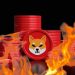 Whale Movements Push Shiba Inu Burn Rate To Stunning 4,100% Rise