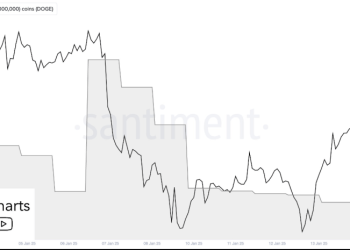 Dogecoin Bulls Eye $3 As Whales Scoop 200 Million DOGE In The Last 2 Days