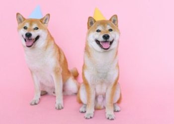 Galaxy Digital Reveals Bold Dogecoin Price Prediction For 2025