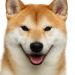 Shiba Inu Builds Momentum: ‘Monster’ Price Move Coming—Analyst