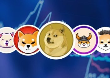 Memecoins To Mature By 2030? CEO Sees Stability On The Way