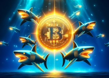 Bitcoin Shark Wallets Set New Record: Bullish Foreshadowing For 2025?