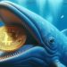 Bitcoin Whales On The Rise As Market Sees Price Boom – What It Means