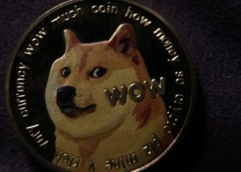 Dogecoin Activity Levels Crash To 4-Month Lows, Does This Spell Doom For The Meme Coin?