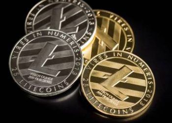 Will Litecoin Bounce Back? $113 Becomes Key After Recent Rejection