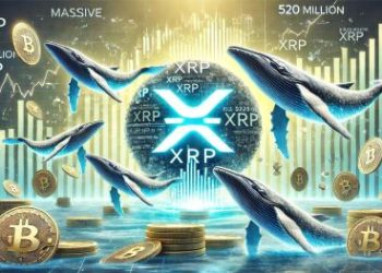 Massive XRP Accumulation – Whales Bought 520 Million XRP During Market Dip