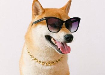Dogecoin To $1.35? Analyst Predicts Milestone ‘Within 70 Days’