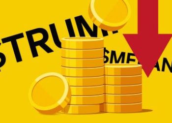 Trump Meme Coin Faces Criticism, But Cathie Wood Sees A Bold Future