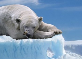 Bitcoin Bearish Case Emerges – Is A Dump To $73,000 Coming?