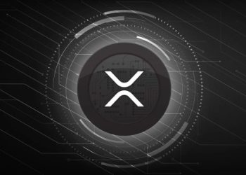 Why XRP Hasn’t Faded: Billionaire Highlights Key To Its Survival