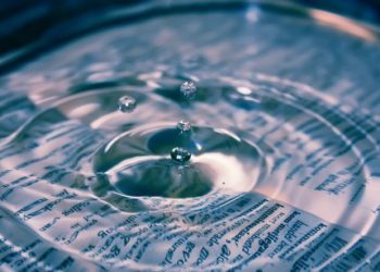 XRP To 3 Digits? The ‘Signs’ That Could Confirm It, Basketball Analyst Says