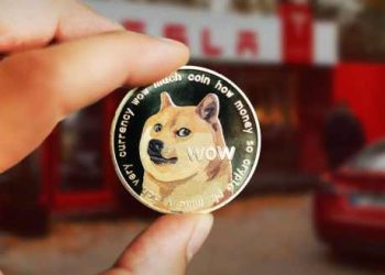 Technical Indicator Shows Ongoing Rally For Dogecoin Despite Bearish Developments