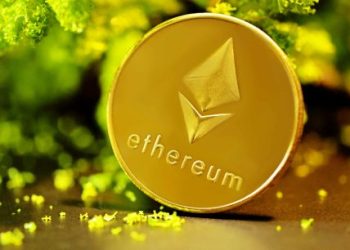 Ethereum, Dogecoin, And The Altcoin Market: Why Up-Only For 217 Days Is Possible