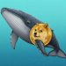 Whale Alert: 200 Million Dogecoin Bought—Is A Price Rally On The Horizon?