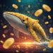 $1 Dogecoin? Whale Accumulation Suggests A Rebound—Analyst