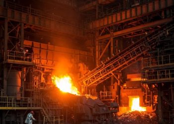 Shiba Inu Burn Update: 99.44% Daily Burn Crash Could Spell Trouble For Meme Coin