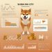 Shiba Inu ETF Proposal—Could This Be SHIB’s Breakout Moment?