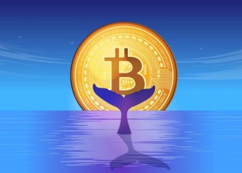 1 Million Bitcoin In New Whale Hands—A Mega BTC Rally On The Horizon?